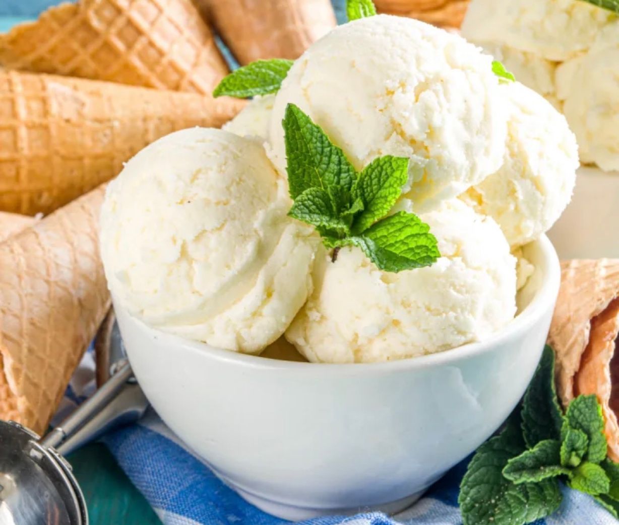 Vanilla ice cream at Jalsa Indian Cuisine in Ellicott City, MD 21043 | YourMenu® Online Ordering