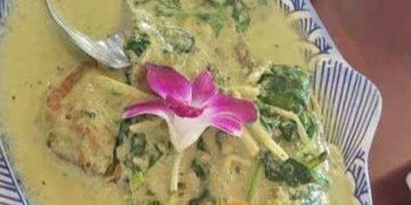 Salmon Green Curry at THAI LOTUS Thai Cuisine in North Brunswick Township, NJ 08902-4807 | YourMenu® Online Ordering
