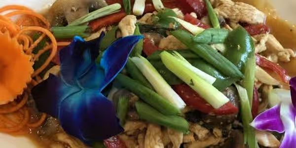 Thai Basil Ginger Chicken at THAI LOTUS Thai Cuisine in North Brunswick Township, NJ 08902-4807 | YourMenu® Online Ordering