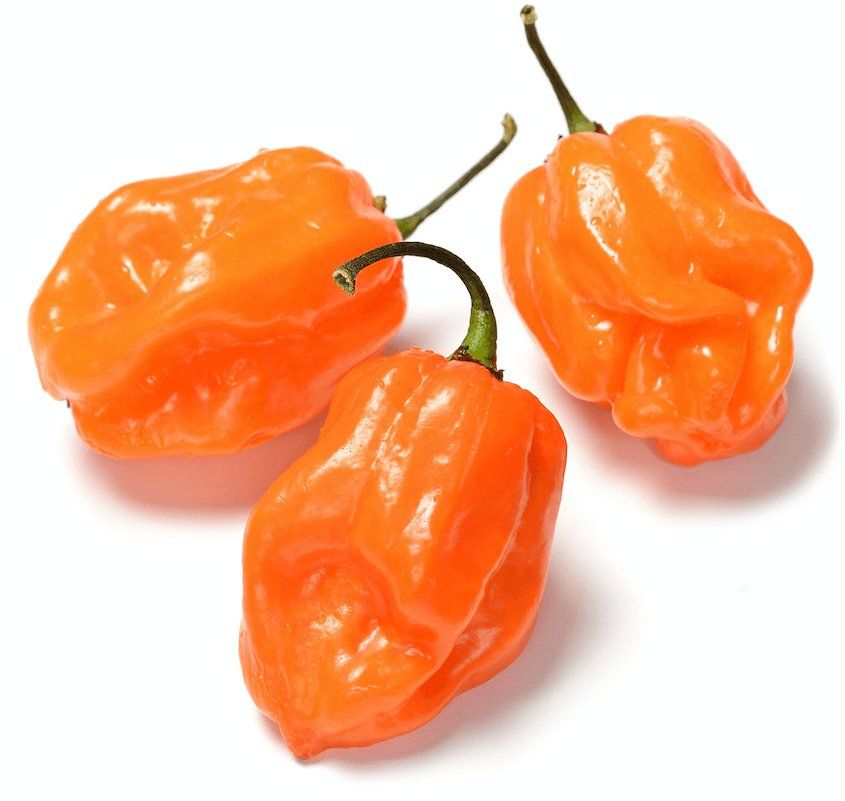 Habanero Pepper at Quiktripp International in Fredericksburg, VA 22407 | YourMenu® Online Ordering