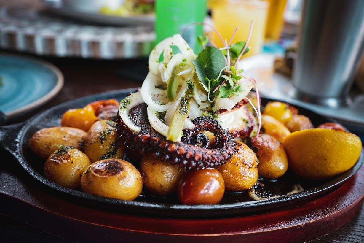 Pulpo Asado at KOLUCAN in Sarasota, FL 34231-5806 | YourMenu® Online Ordering