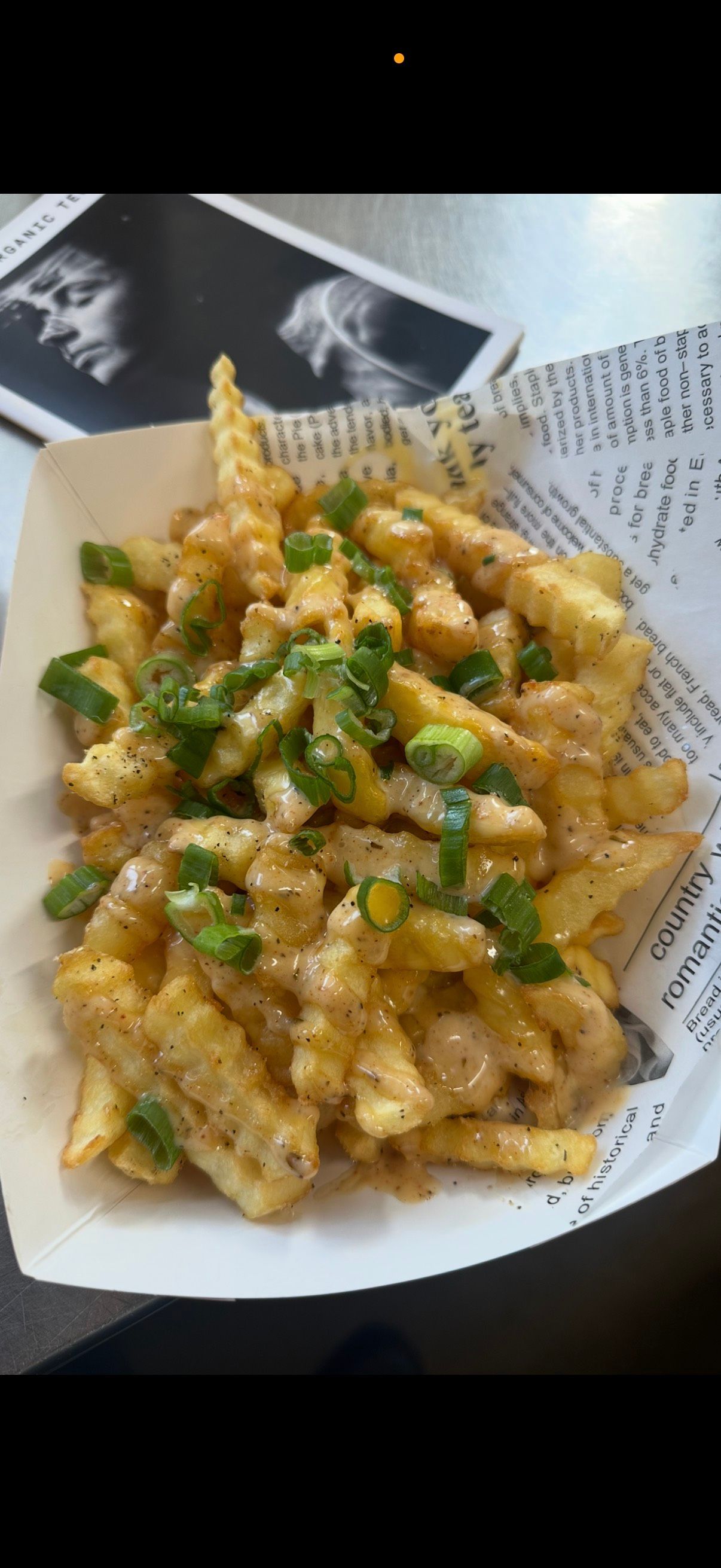 Loaded Fries at TIGHT LINES FOOD SHACK in Delray Beach, FL 33445 | YourMenu® Online Ordering