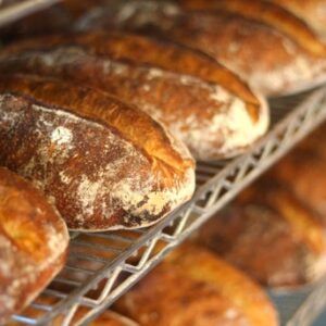 Francese at Standard Baking Co Holiday in Portland, ME 04101-4703 | YourMenu® Online Ordering