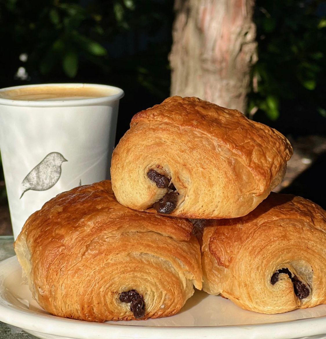 Chocolate Croissant at Meadowlark Bakery & Cafe in WARMINSTER, PA 18974 | YourMenu® Online Ordering