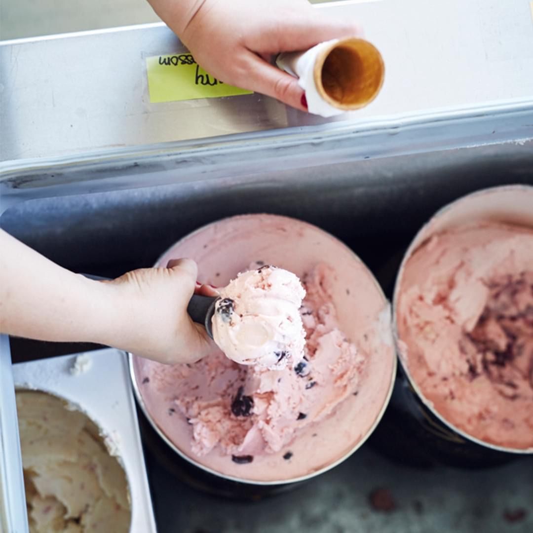 Large- 3 Scoops at Meadowlark Bakery & Cafe in WARMINSTER, PA 18974 | YourMenu® Online Ordering