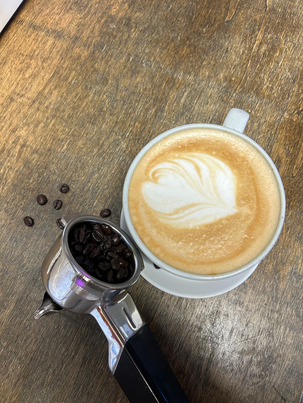Cappuccino at Gratefuel Cafe in Fort Lauderdale, FL 33308 | YourMenu® Online Ordering