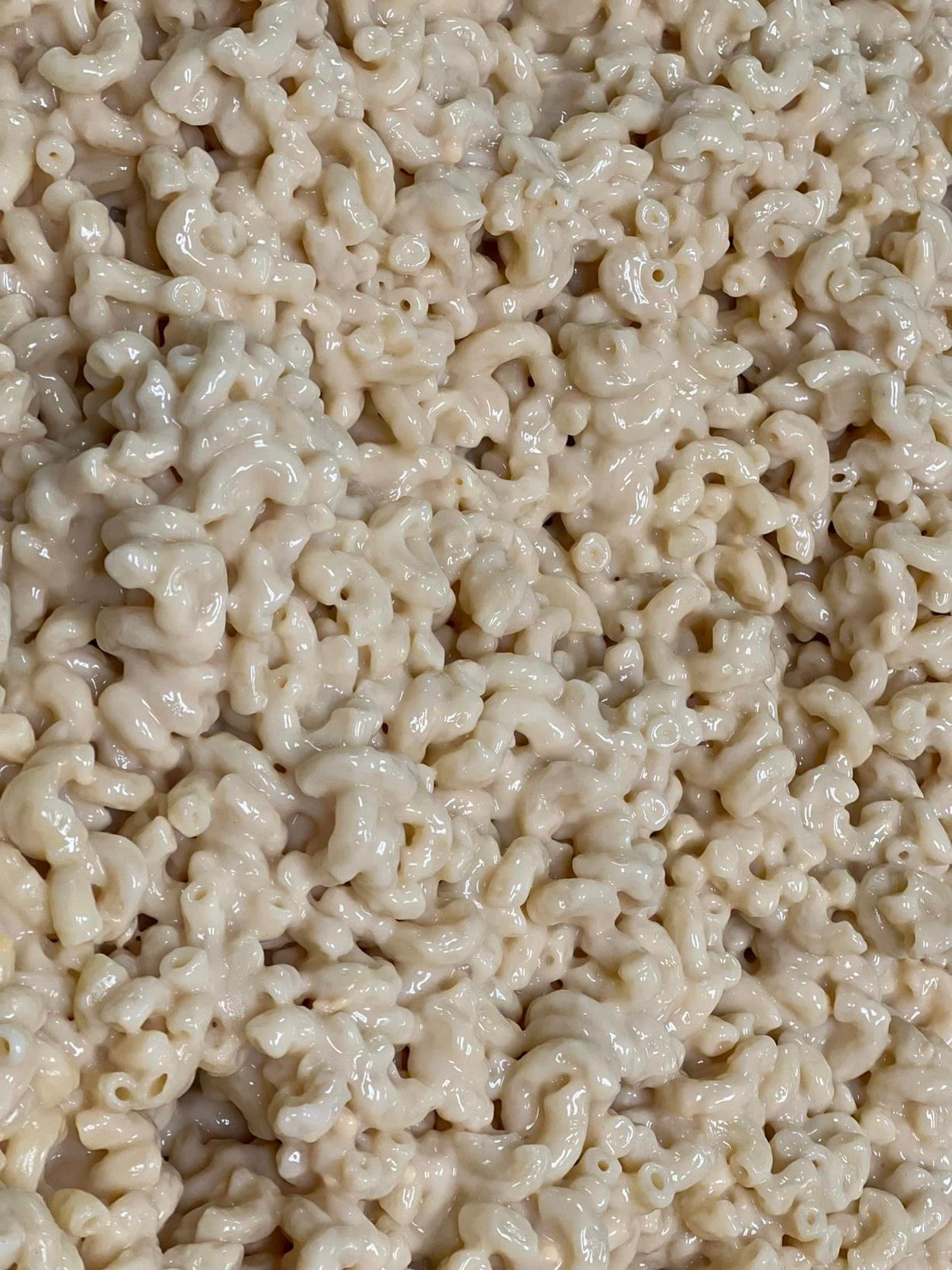 Mac And Cheese-Half  at Scicchitano's Catering in Coal Township, PA 17866 | YourMenu® Online Ordering