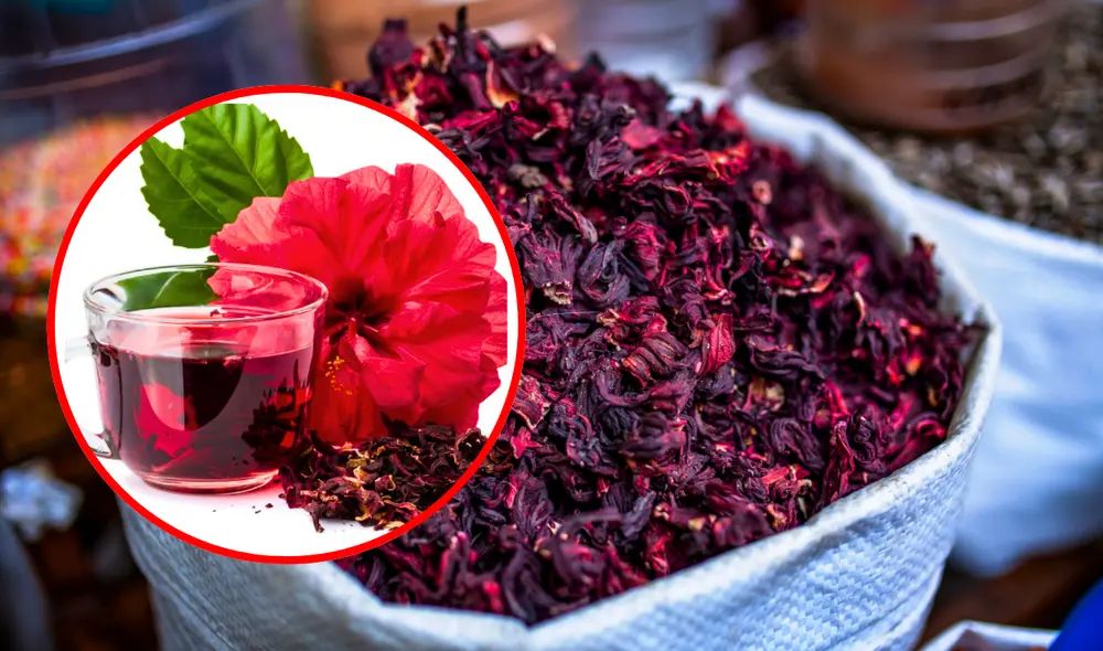 Hibiscus ice tea (bebida hecha de flor de Jamaica) 16 oz  at JD SABOR REAL in Woodstock, GA 30188 | YourMenu® Online Ordering