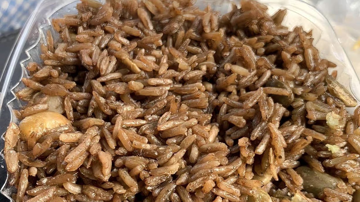 Rice at PAUL'S UNIQUE GOURMET in MIAMI, FL 33168 | YourMenu® Online Ordering