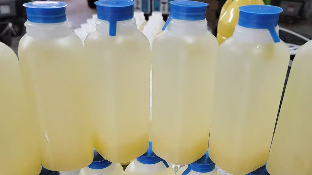 Homemade Limeade (Limonad) at PAUL'S UNIQUE GOURMET in MIAMI, FL 33168 | YourMenu® Online Ordering