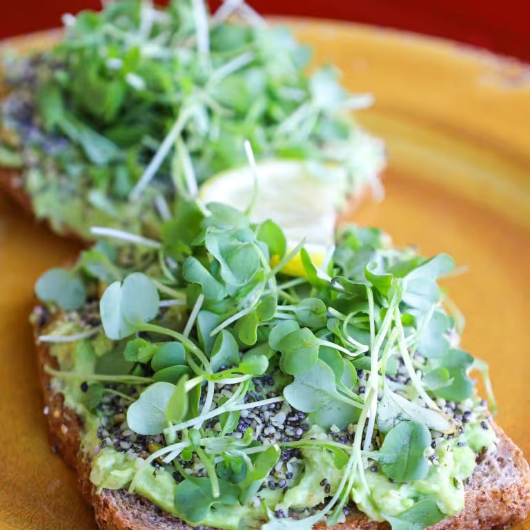 Professor C at The Modern Rose (Delray) in Delray Beach, FL 33483 | YourMenu® Online Ordering