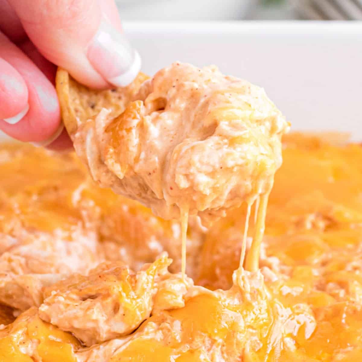 Catering - Buffalo Chicken Dip at T.S.Smith Orchard Point Market in Bridgeville, DE 19933-4744 | YourMenu® Online Ordering