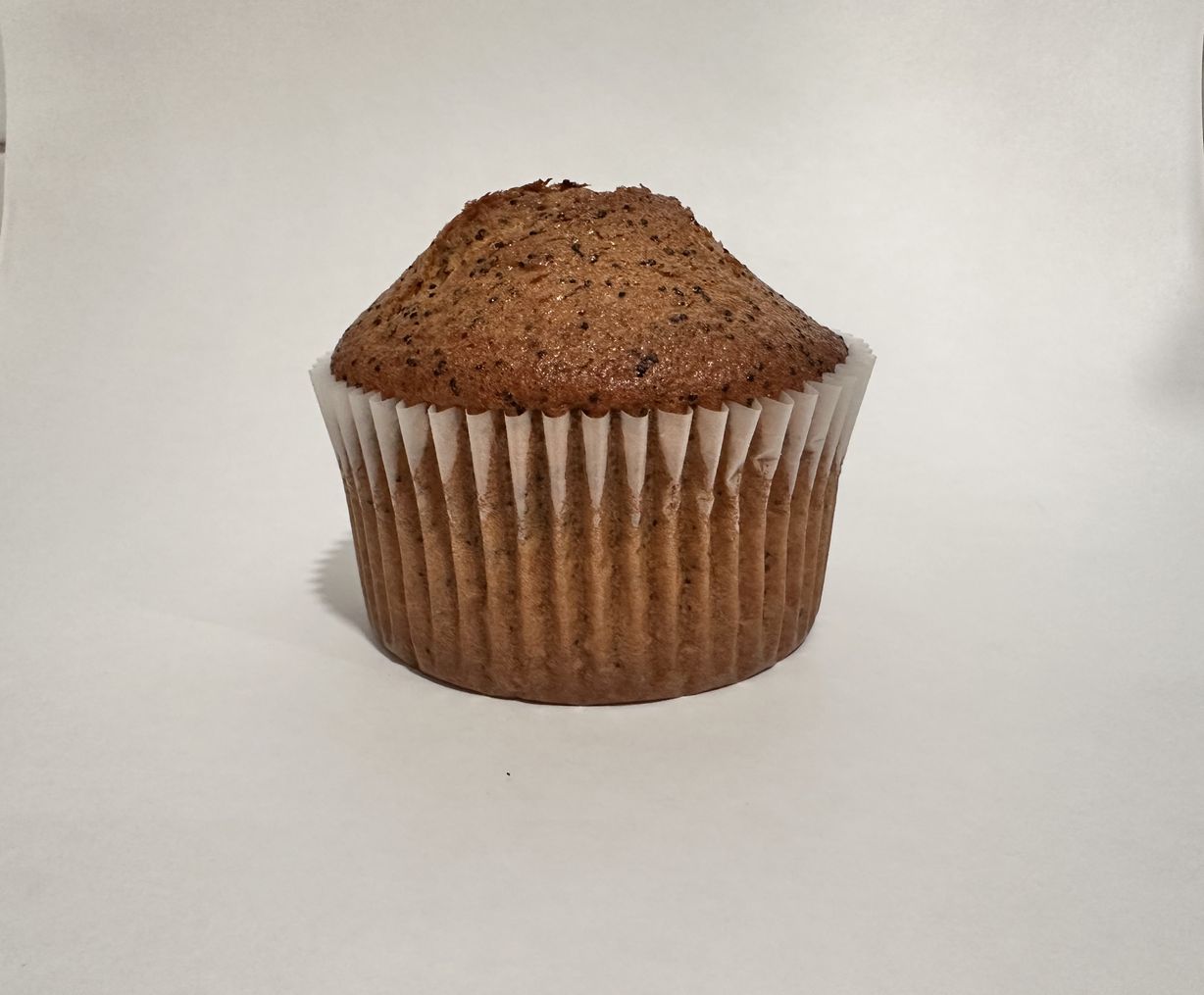 Pumpkin Muffin at Sunny Brew Coffee - Vistancia in Peoria, AZ 85383 | YourMenu® Online Ordering