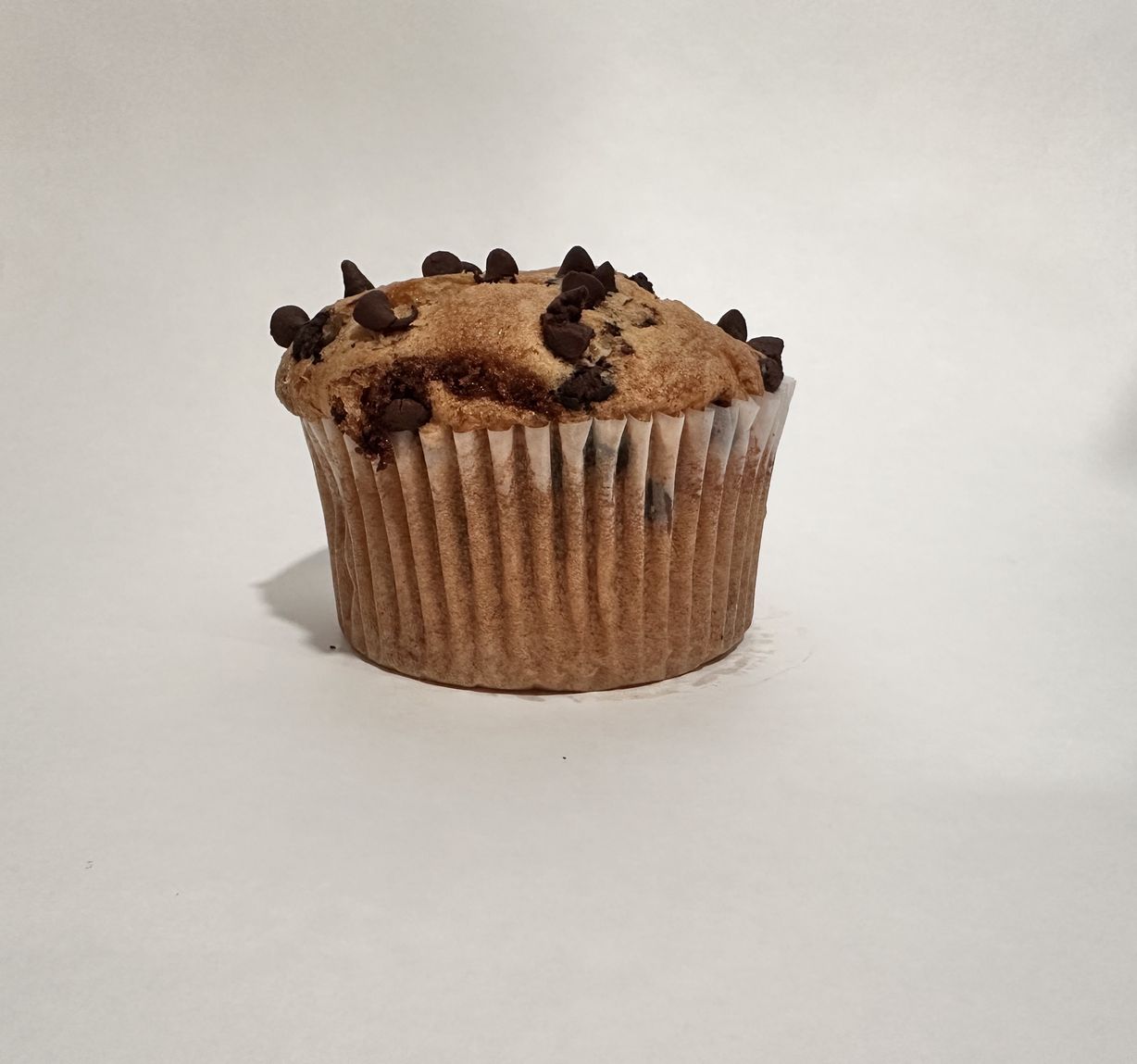 chocolate chip Muffin at Sunny Brew Coffee - Vistancia in Peoria, AZ 85383 | YourMenu® Online Ordering
