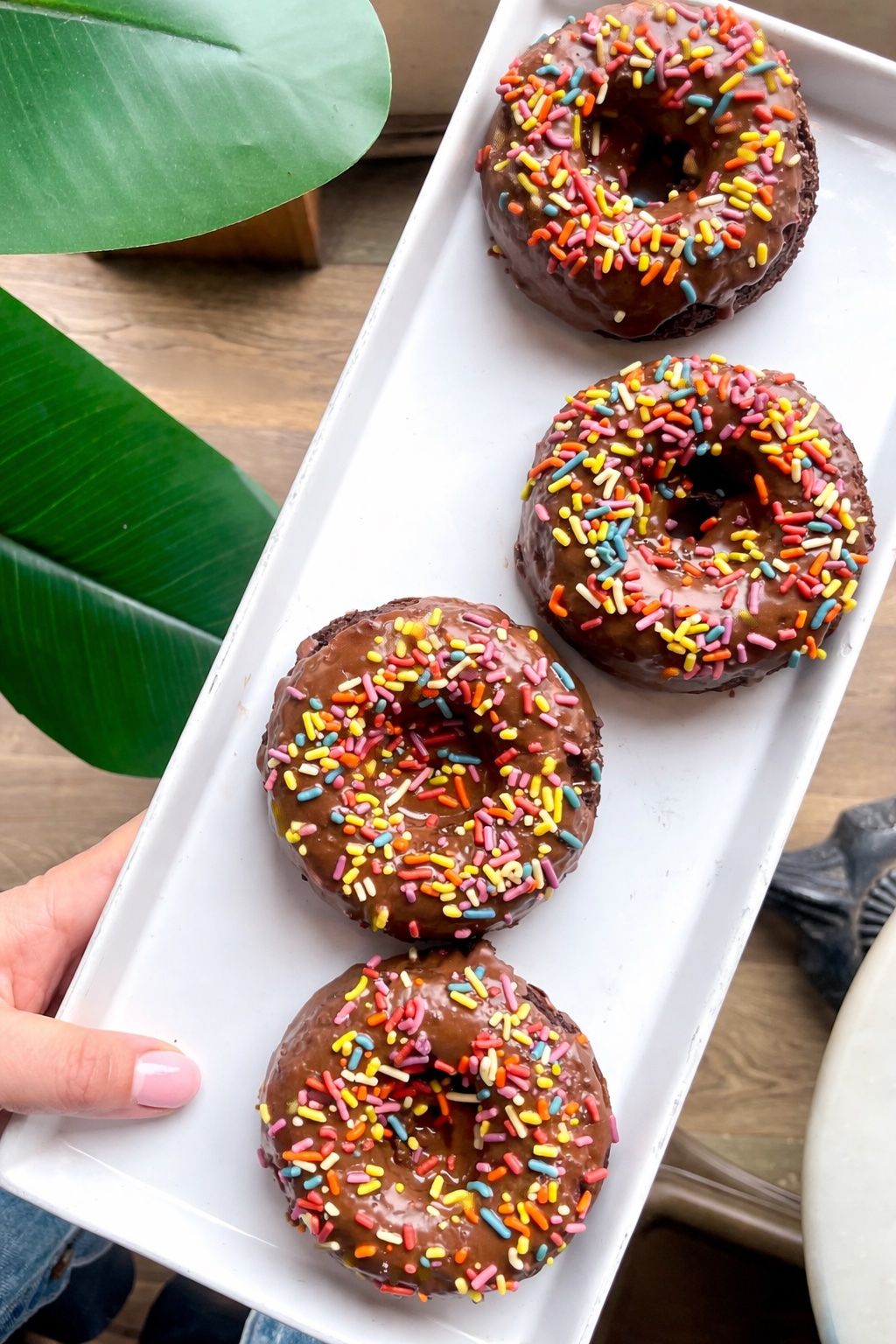 Chocolate Donut at Upper Crust  in Fredonia, NY 14063 | YourMenu® Online Ordering
