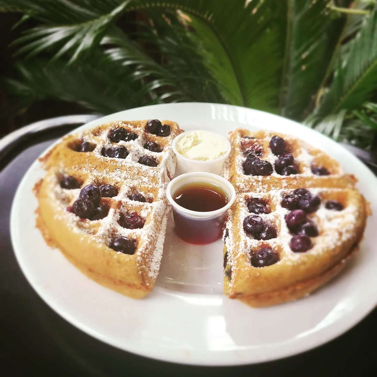 Waffles - Blueberry - gf at Subia's Vegan Cafe in Jersey City, NJ 07302 | YourMenu® Online Ordering