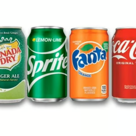 Soda Can at Famous Kabobs - Gaithersburg in Gaithersburg, MD 20879 | YourMenu® Online Ordering