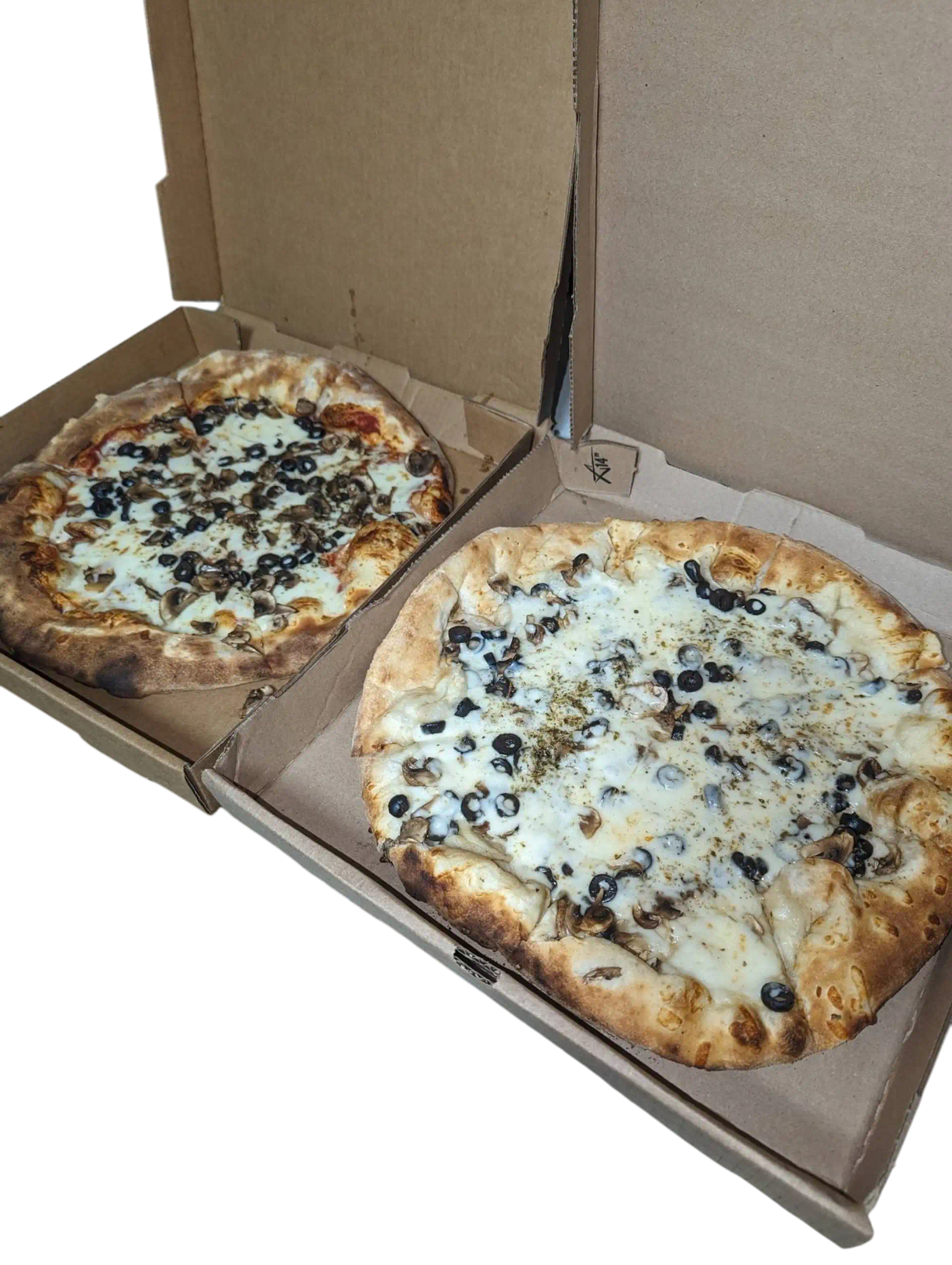 OBO Pizza Combo at OBO Pizza - Waldorf in Waldorf, MD 20602 | YourMenu® Online Ordering