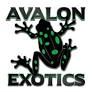 Avalon Exotics logo