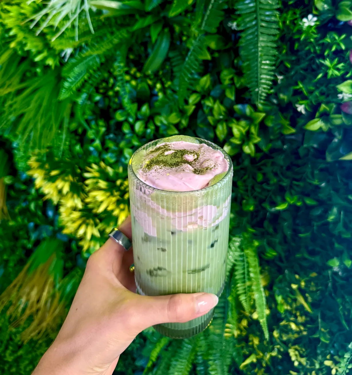Pink Dragon Fruit Matcha Freddo at Gratefuel Cafe in Fort Lauderdale, FL 33308 | YourMenu® Online Ordering