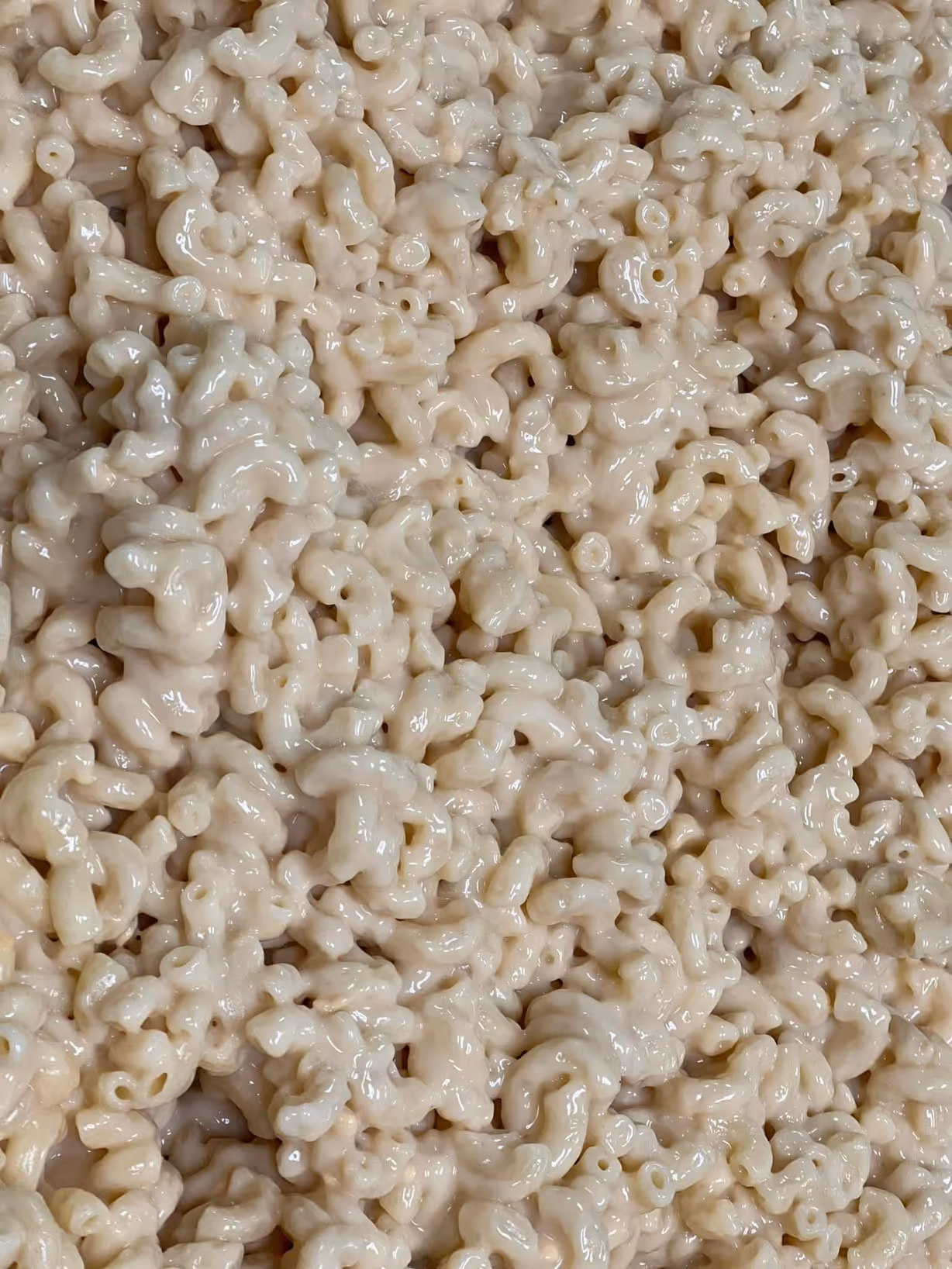 Mac And Cheese-Half at Scicchitano's Catering in Coal Township, PA 17866 | YourMenu Online Ordering Mac And Cheese-Half at Scicchitano's Catering in Coal Township, PA 17866 | YourMenu Online Ordering