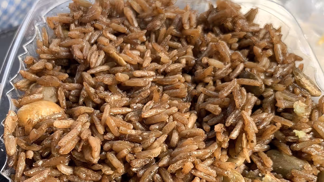 Djon Djon Rice (Black Rice) at PAUL'S UNIQUE GOURMET in MIAMI, FL 33168 | YourMenu Online Ordering Djon Djon Rice (Black Rice) at PAUL'S UNIQUE GOURMET in MIAMI, FL 33168 | YourMenu Online Ordering
