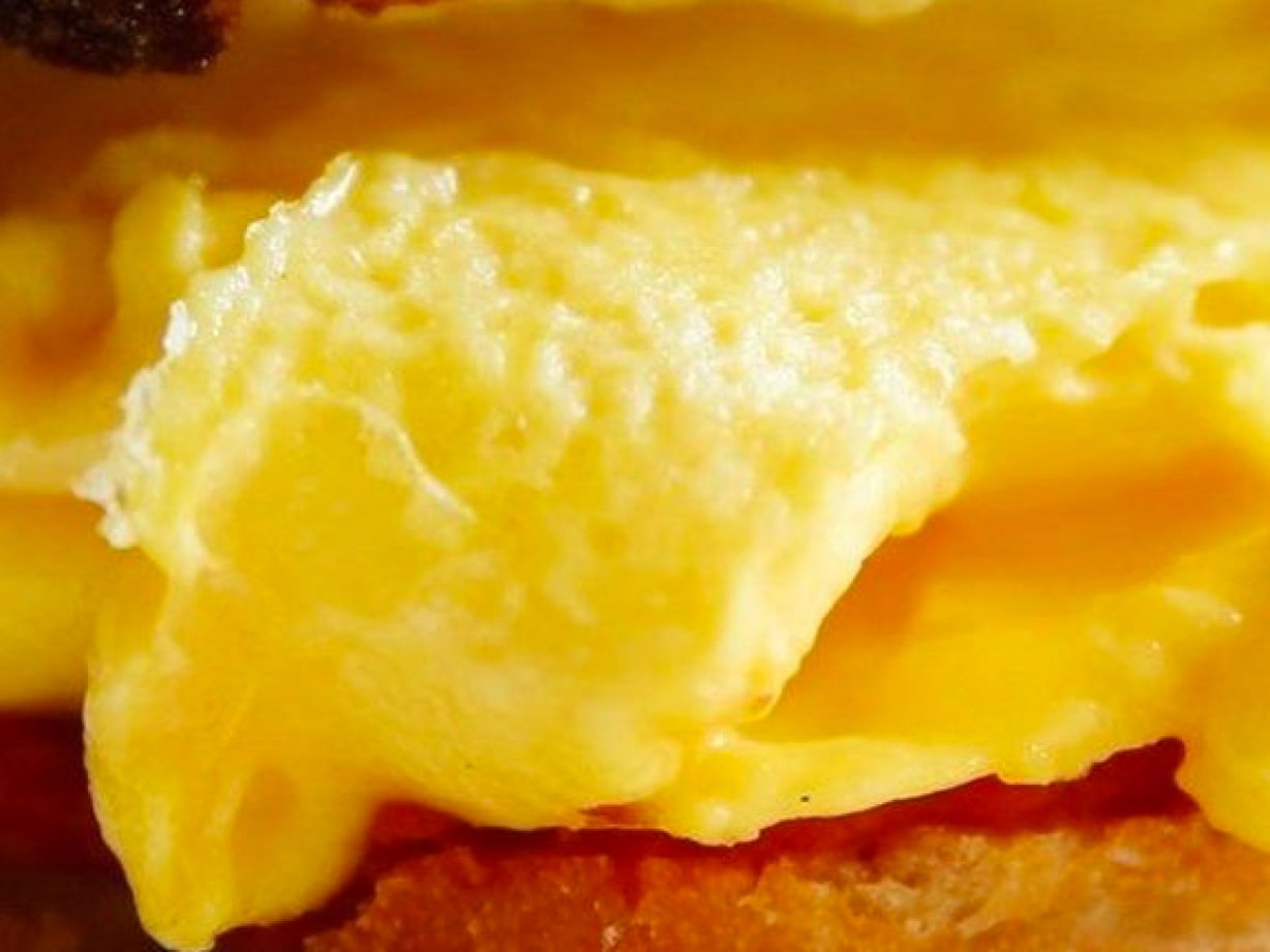 Egg & Cheese at Kavaldi Coffee in BRIDGEPORT, CT 06604 | YourMenu Online Ordering