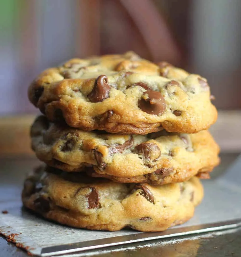 Chocolate Chip Deeplicius Cookie at Deeplicius Pizza in Coral Gables, FL 33134 | YourMenu® Online Ordering