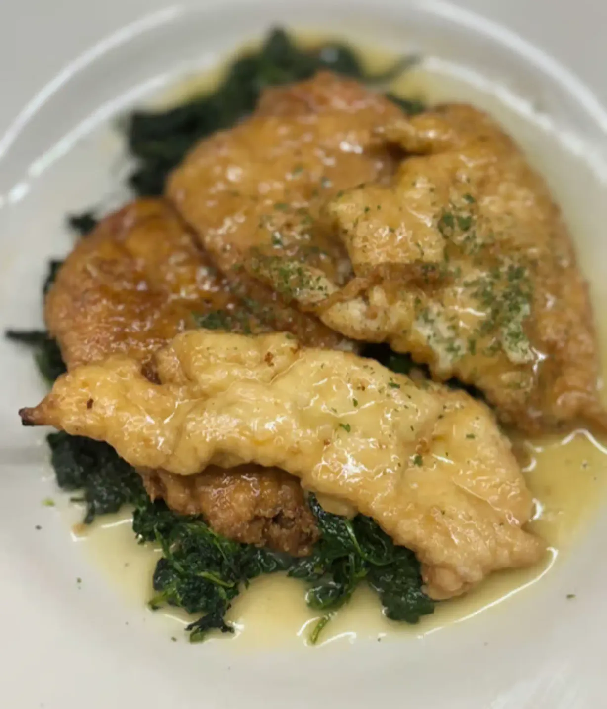 Sole Florentine at Aldini's Restaurant in Monroe, CT 06468 | YourMenu® Online Ordering Sole Florentine at Aldini's Restaurant in Monroe, CT 06468 | YourMenu® Online Ordering