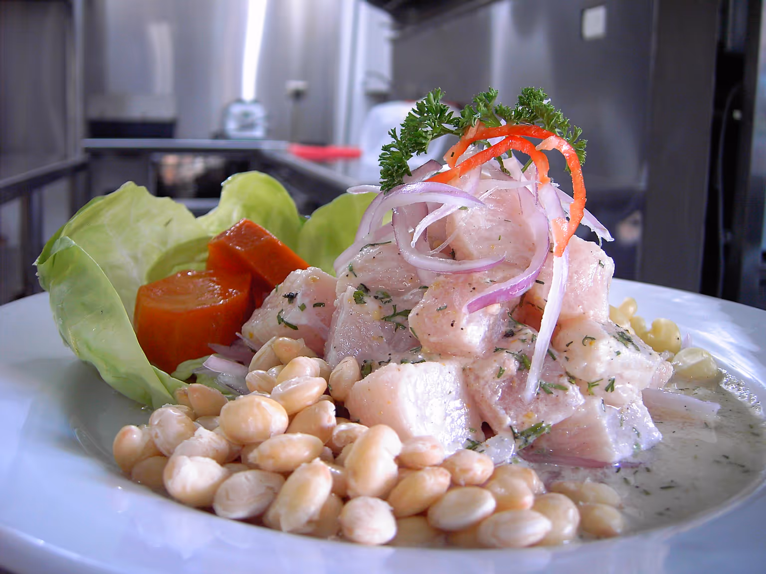 Peruvian Ceviche at Los Primos Restaurant in Hagerstown, MD 21742
