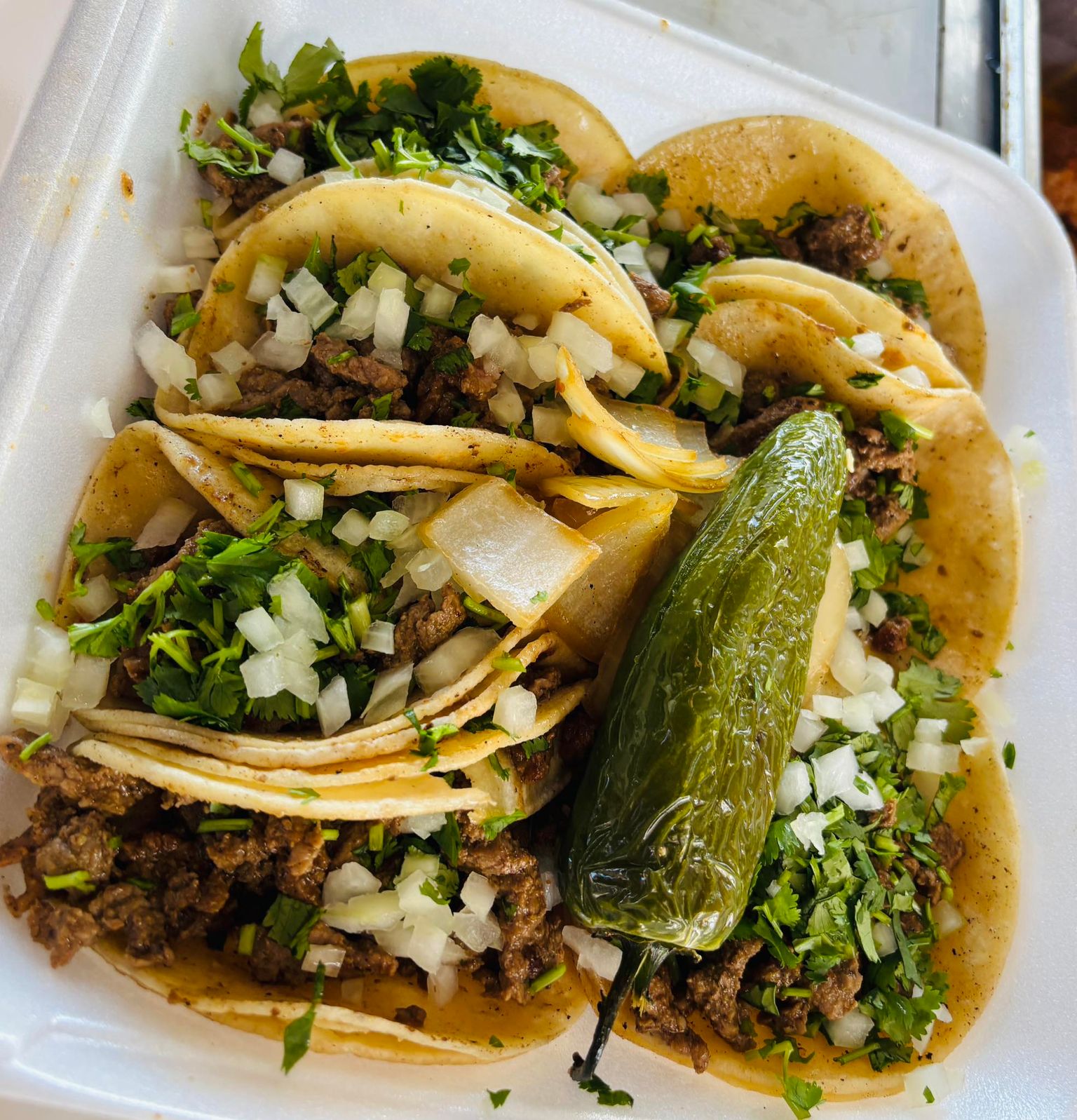 Tacos at Taqueria Los Plebes in Gillette, WY 82716 Tacos at Taqueria Los Plebes in Gillette, WY 82716